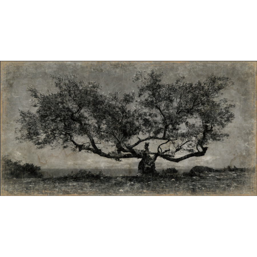 Papiro 200x105