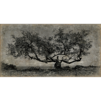 Papiro 200x105
