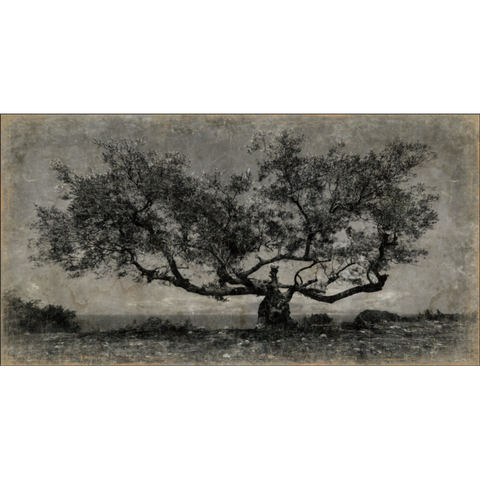 Papiro 200x105