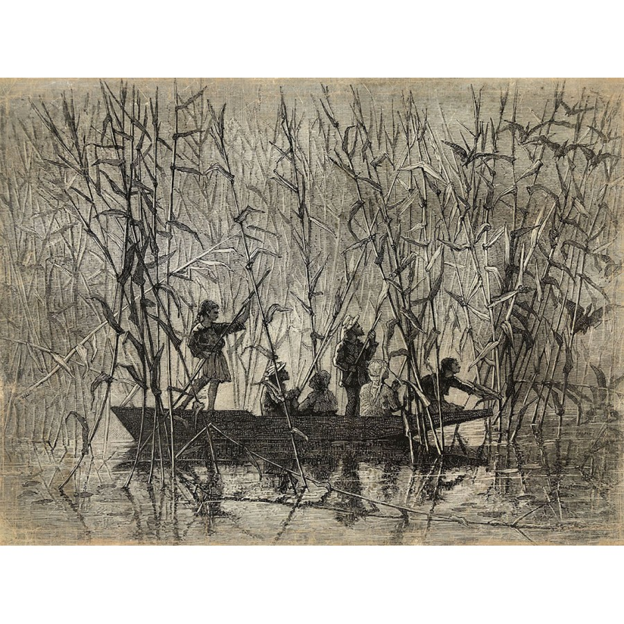 Papiro 120x90
