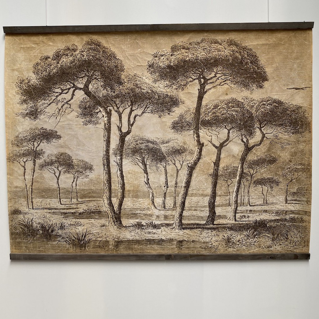 Papiro 200x150