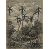 Papiro 150x200