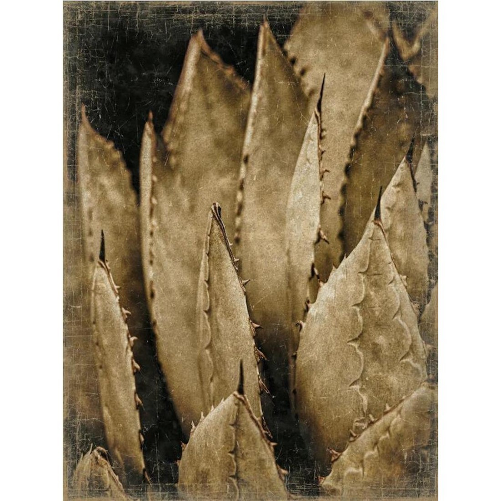 Papiro 90x120