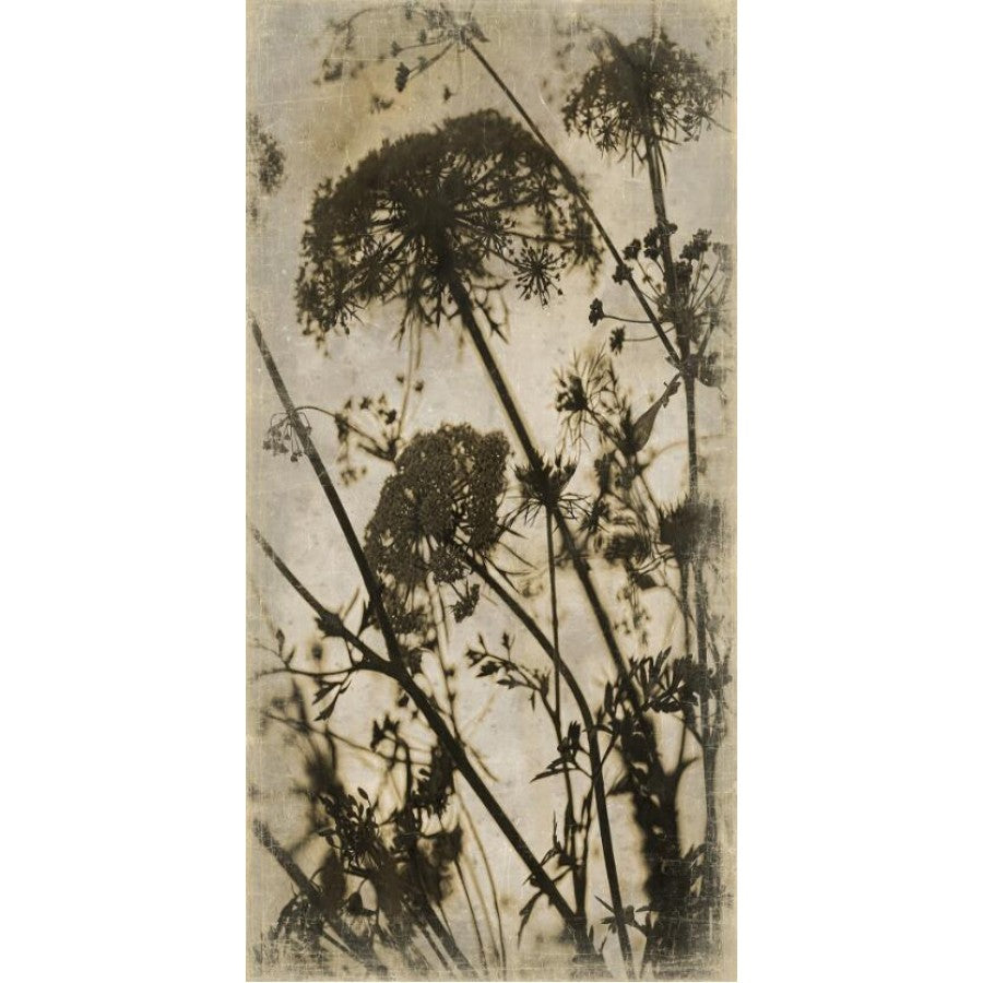 Papiro 90x180