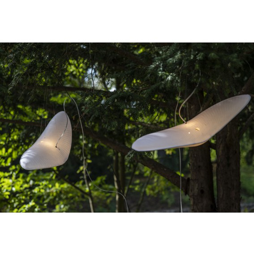 L'oiseau perché
