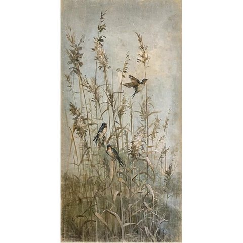 Papiro 90x180