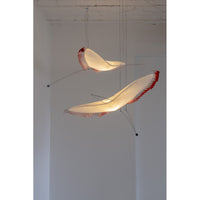 L'oiseau mobile a plumes colorées