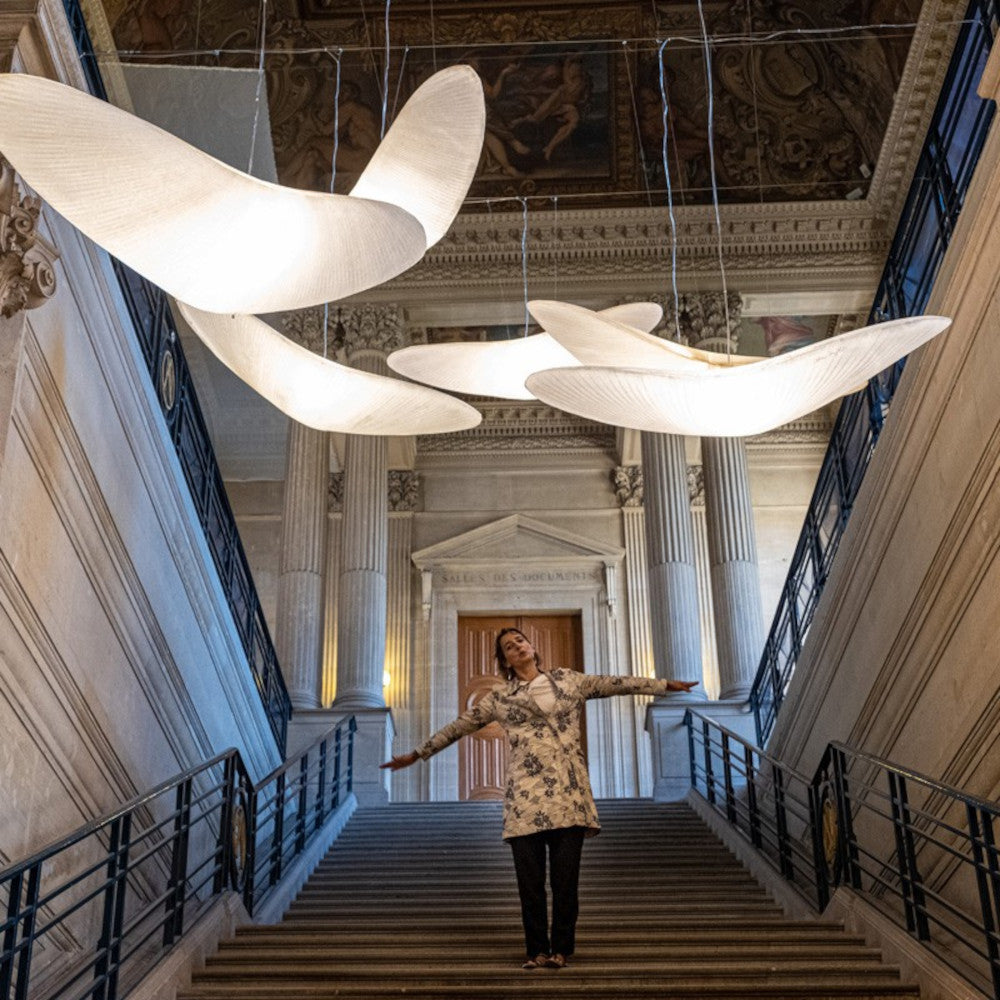 L'oiseau