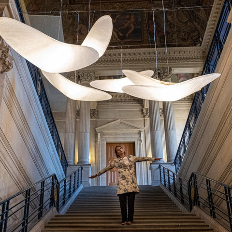 L'oiseau
