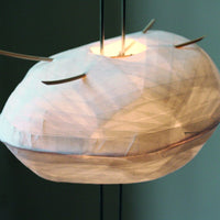 Cocons 4