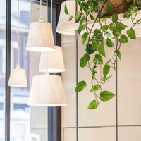Uashmama Lamp Paniere