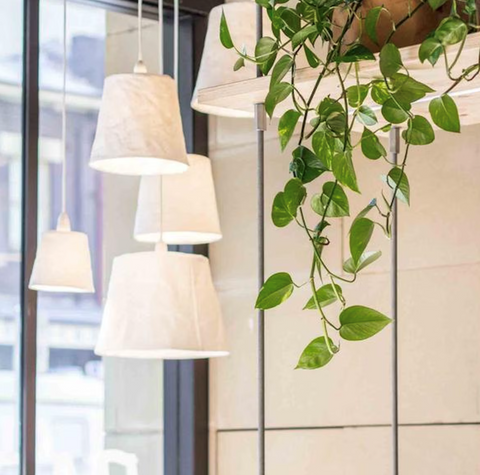 Uashmama Lamp Paniere