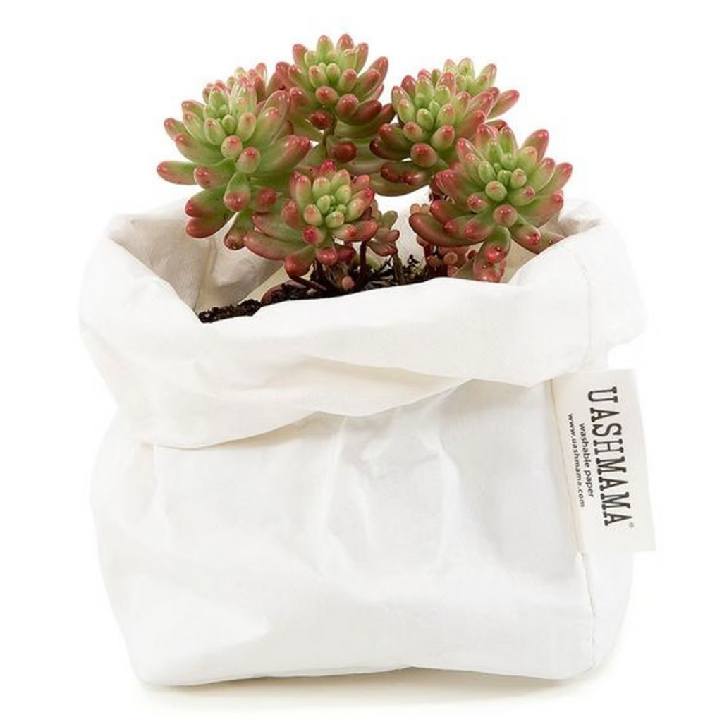 Uashmama Paper Bag Small