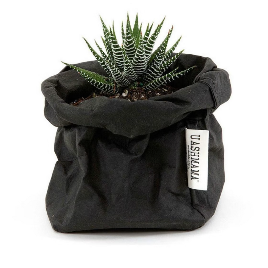 Uashmama Paper Bag Small