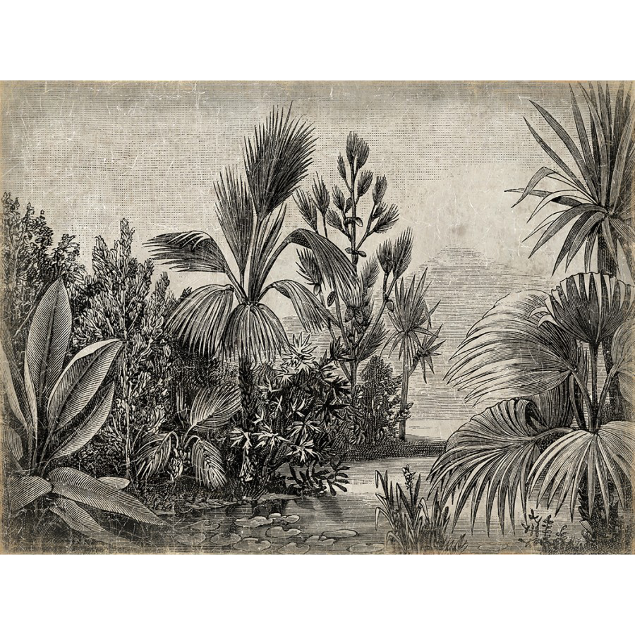 Papiro 200x150