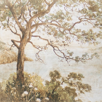 Papiro 120x120