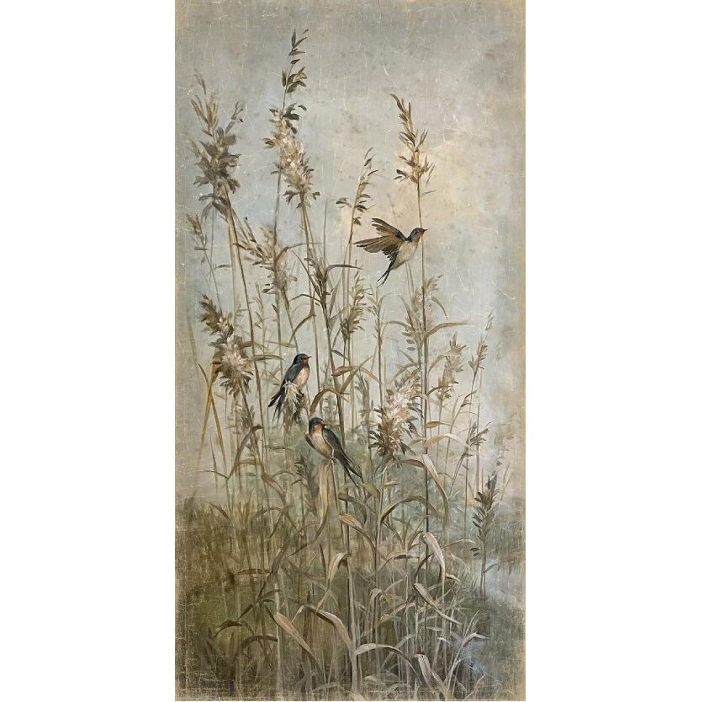 Papiro 90x180
