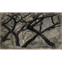 Papiro 200x120