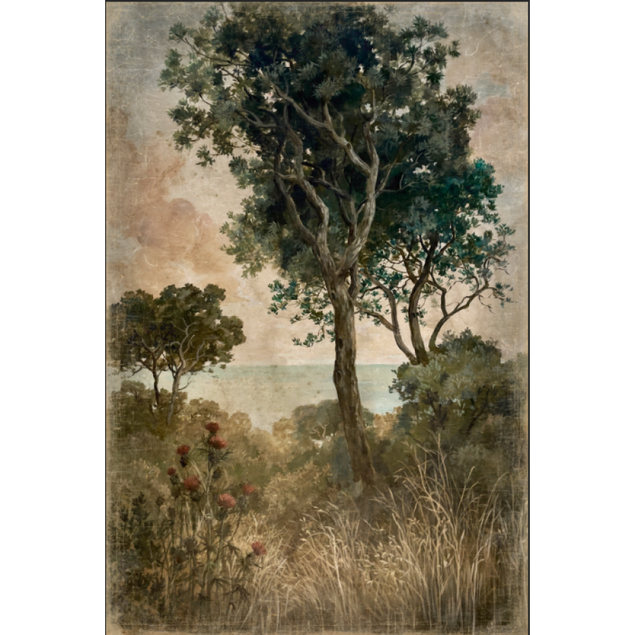 Papiro 120x180